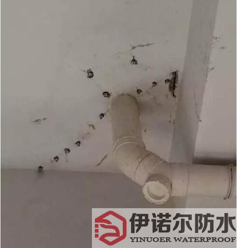 姑蘇蘇州防水工程的基本內容是什么？